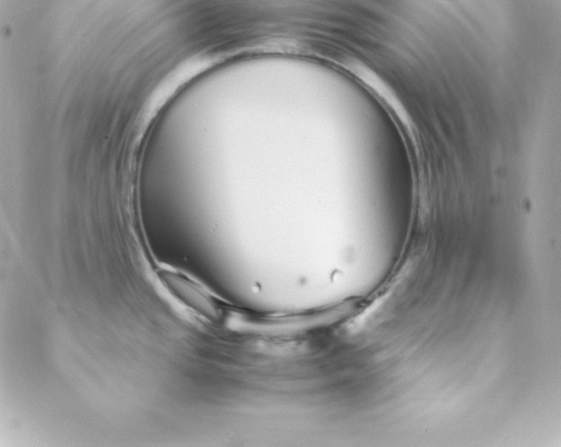 X0000088131437200705291322