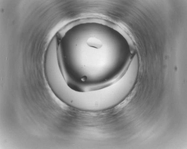 X0000088131438200705291322