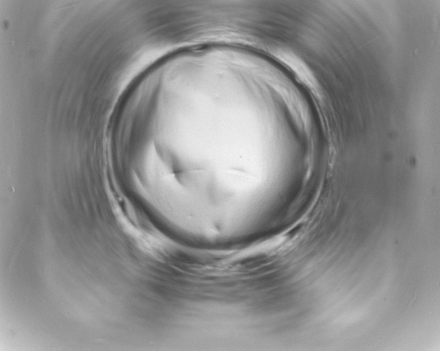 X0000088131439200705291322