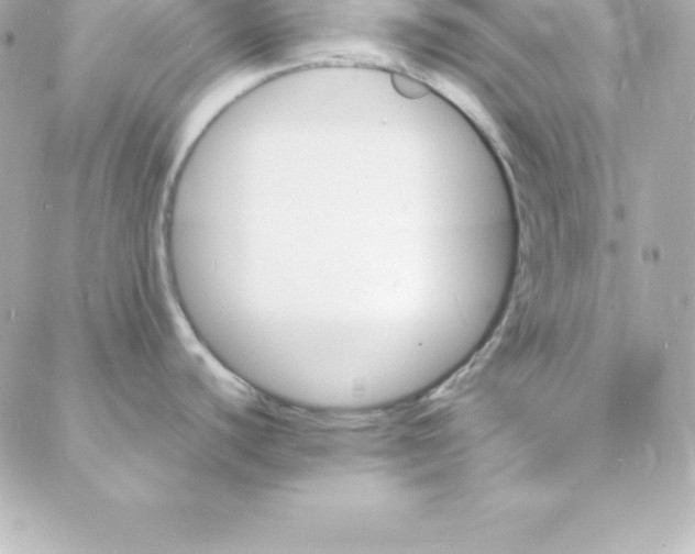 X0000088131440200705291322