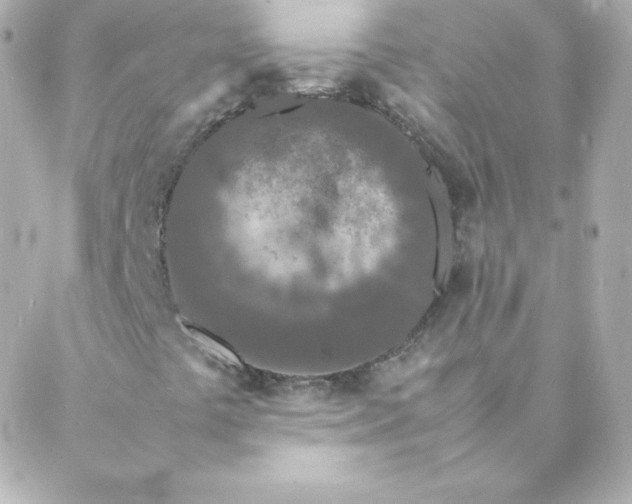 X0000088131441200705291321