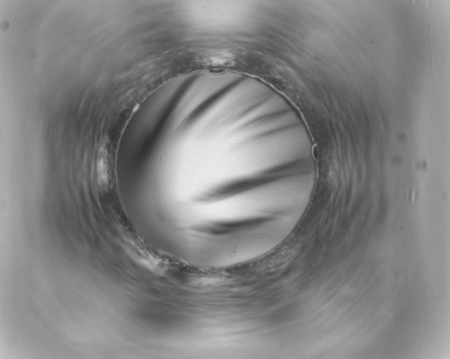 X0000088131442200705291321