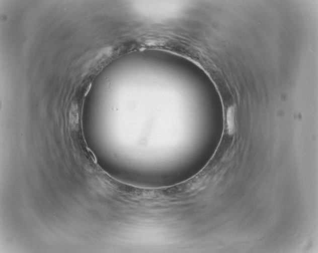 X0000088131443200705291321