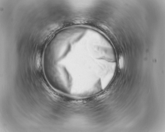 X0000088131444200705291321