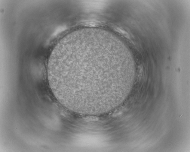 X0000088131446200705291321