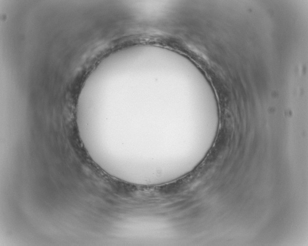 X0000088131447200705291321