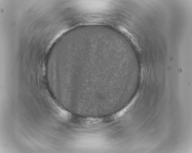 X0000088131449200705291321