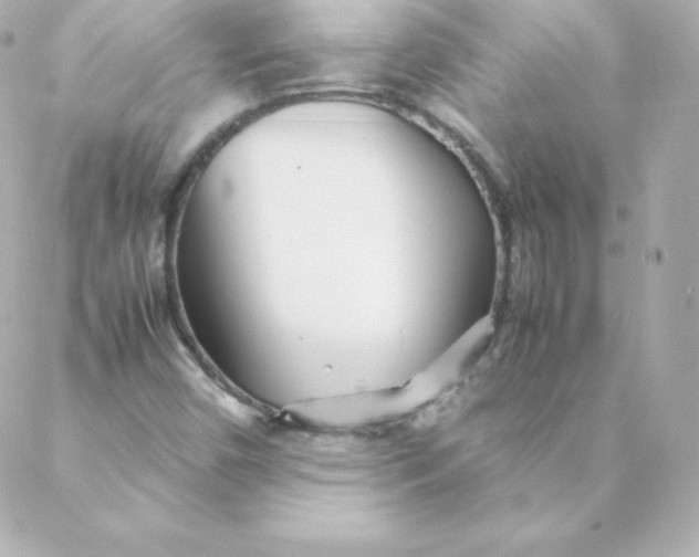 X0000088131450200705291321