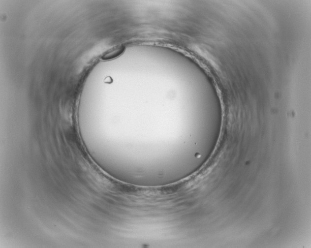 X0000088131451200705291321