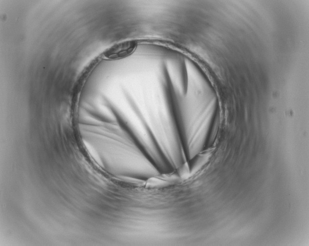 X0000088131452200705291321