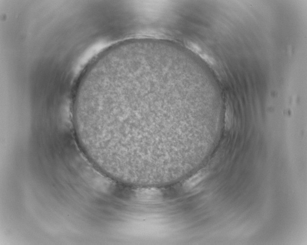 X0000088131454200705291321