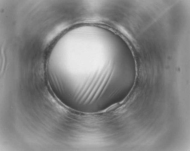 X0000088131456200705291321