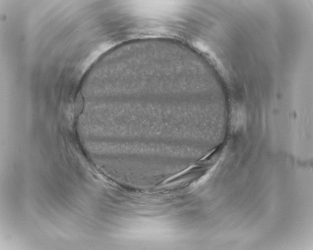 X0000088131457200705291321