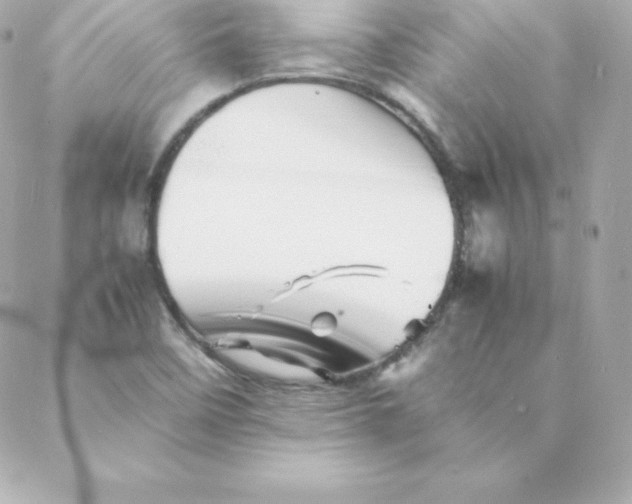 X0000088131458200705291321