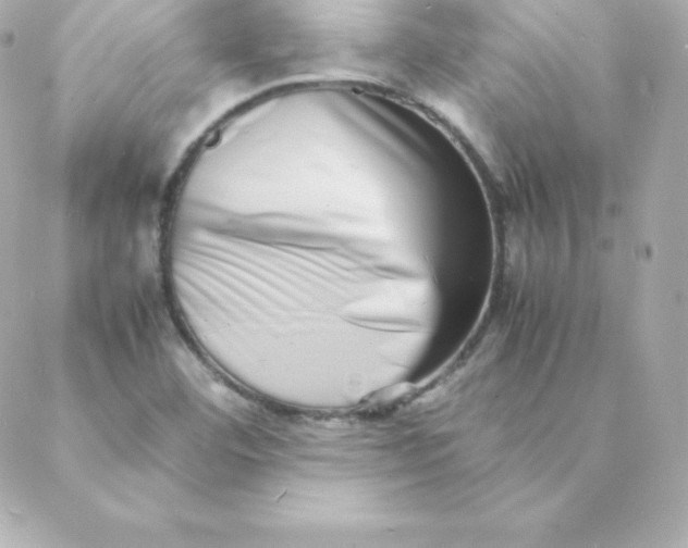 X0000088131460200705291321