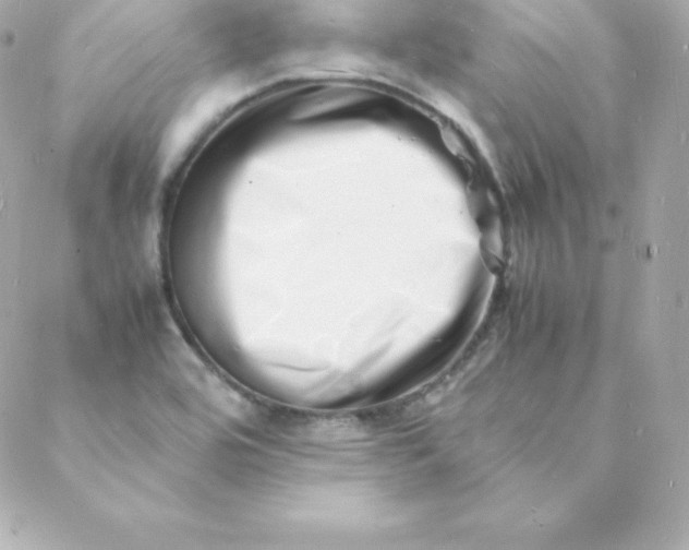 X0000088131464200705291321