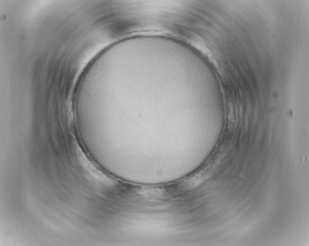 X0000088131466200705291321