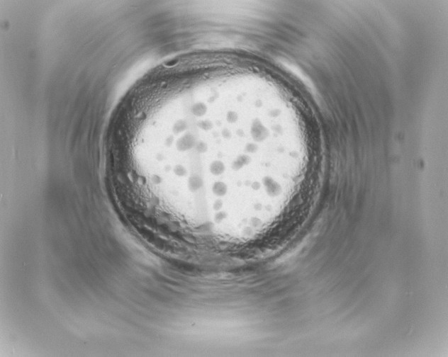 X0000088131467200705291321