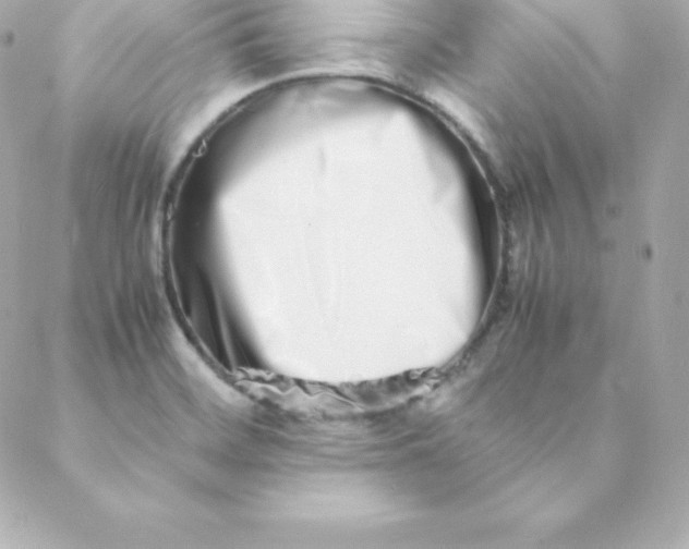 X0000088131468200705291321