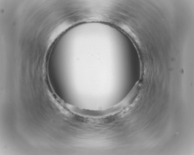 X0000088131469200705291321