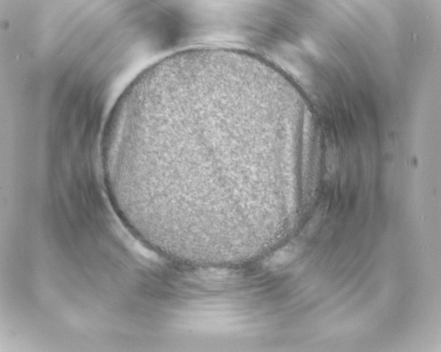 X0000088131470200705291321