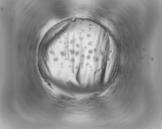 X0000088131471200705291321