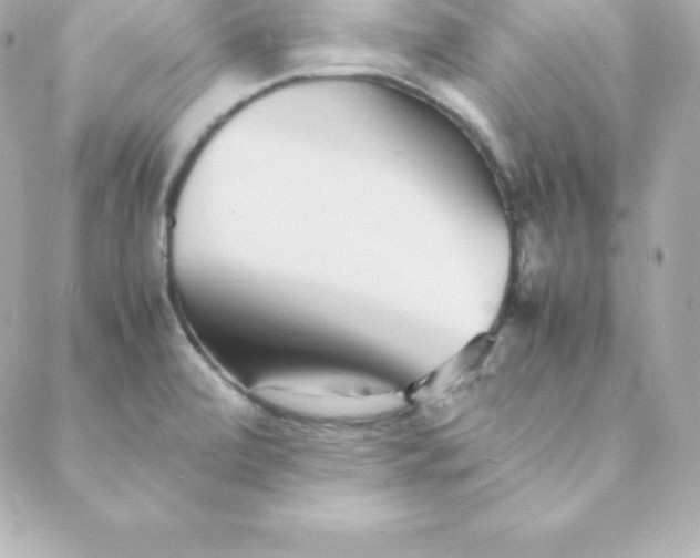 X0000088131472200705291321