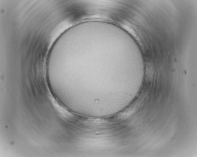 X0000088131474200705291321