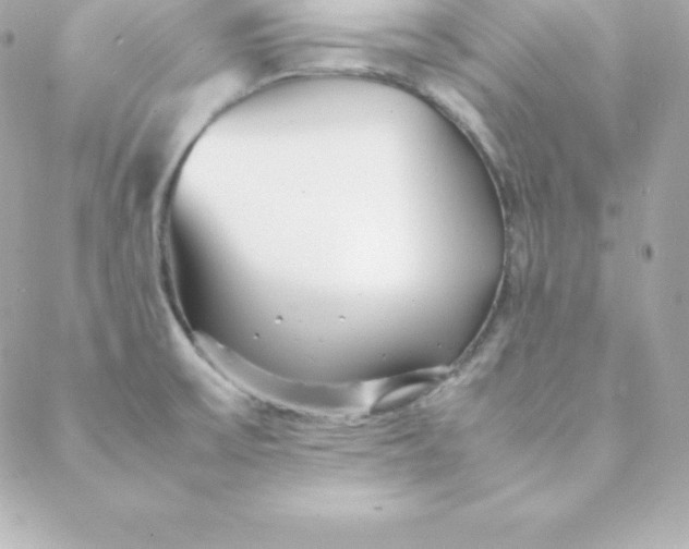 X0000088131475200705291321