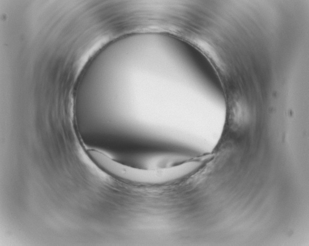 X0000088131476200705291320