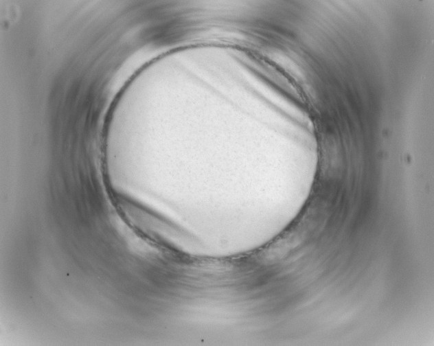 X0000088131478200705291320