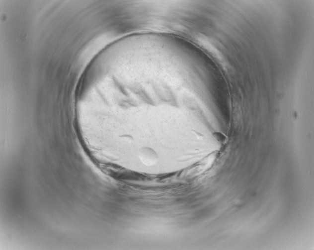 X0000088131479200705291320