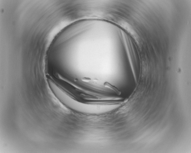 X0000088131480200705291320