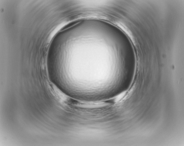 X0000088131481200705291320