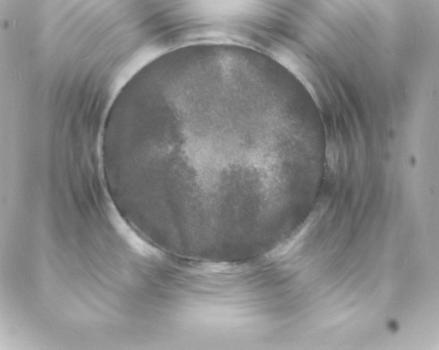 X0000088131482200705291320