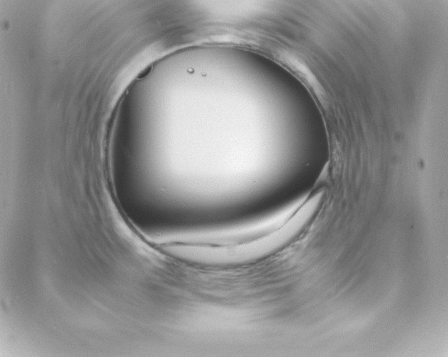 X0000088131483200705291320