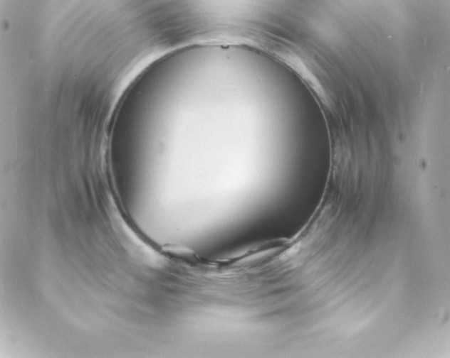 X0000088131484200705291320