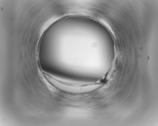 X0000088131485200705291320