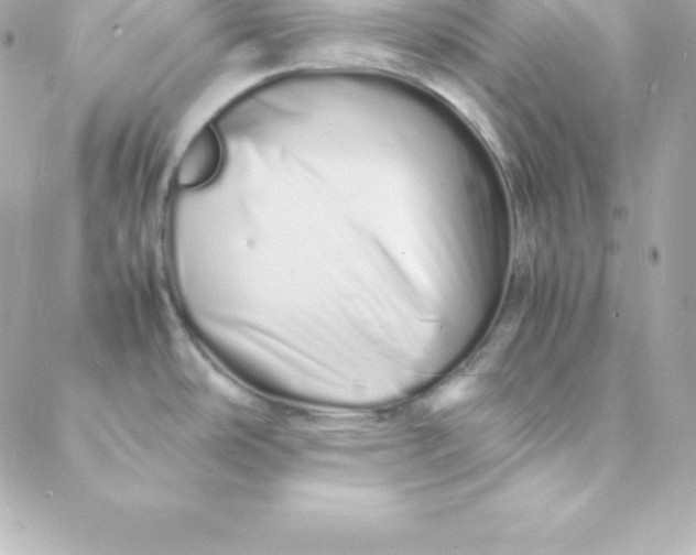 X0000088131486200705291320