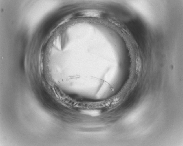 X0000088131487200705291320