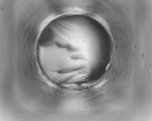 X0000088131488200705291320