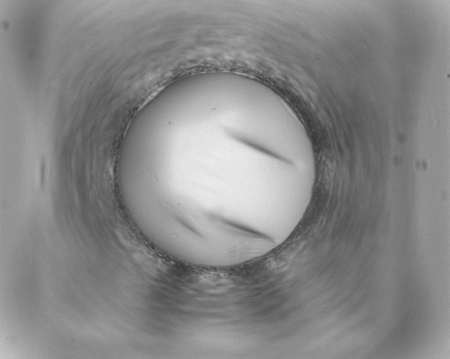 X0000088131489200705291320