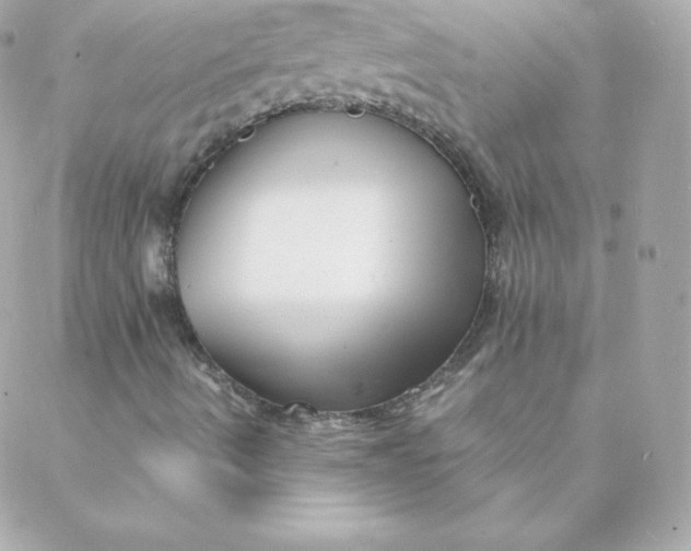 X0000088131490200705291320