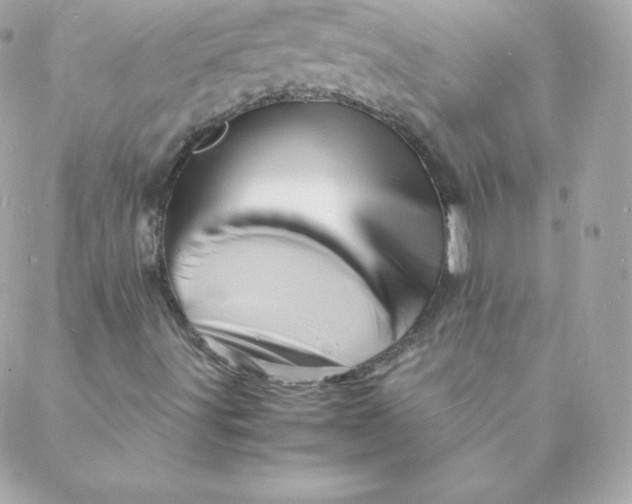 X0000088131491200705291320