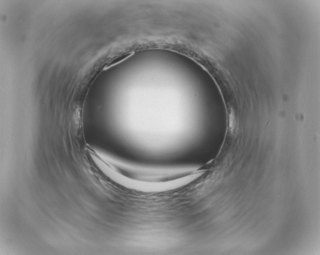 X0000088131492200705291320