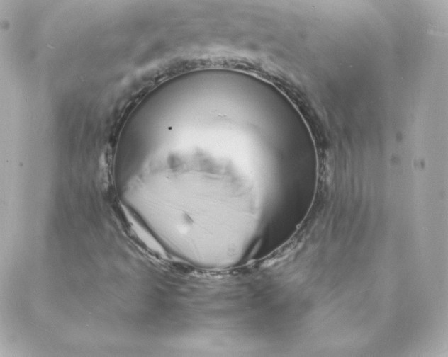 X0000088131493200705291320