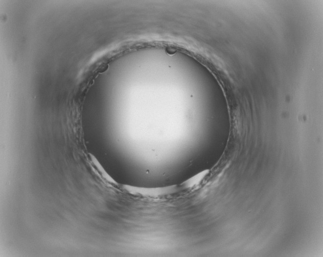 X0000088131494200705291320