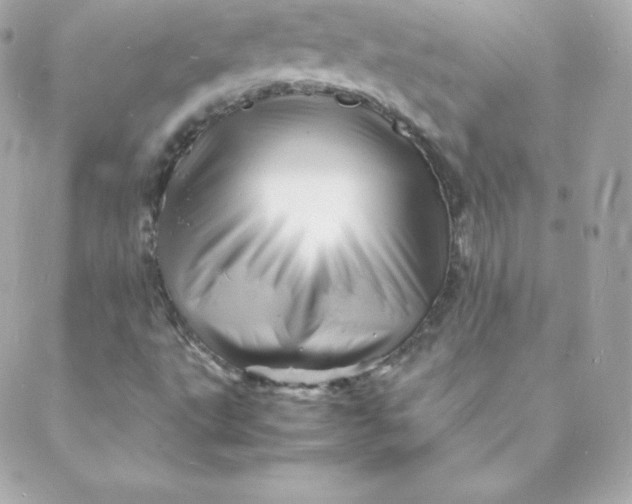 X0000088131495200705291320