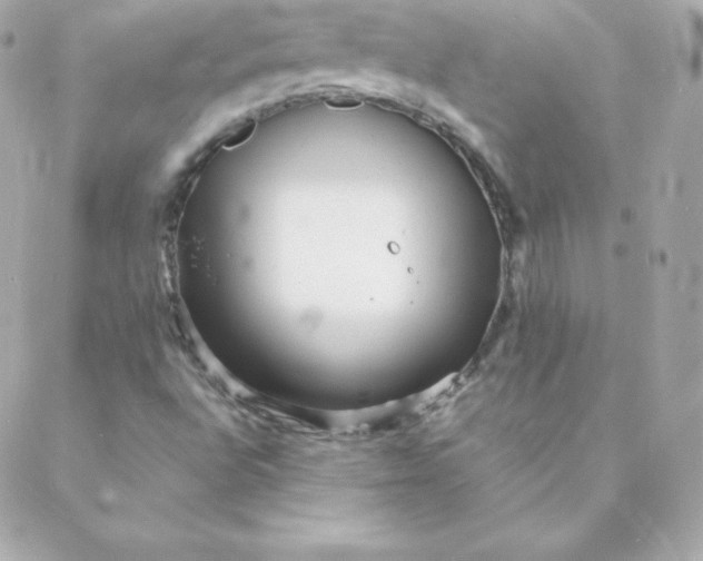 X0000088131496200705291320