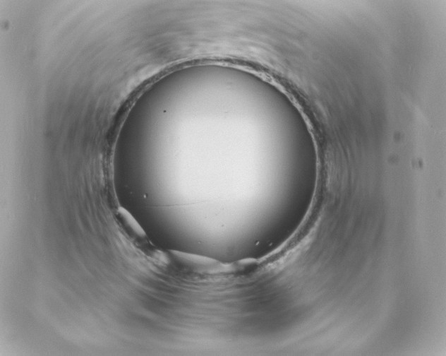 X0000088131497200705291320